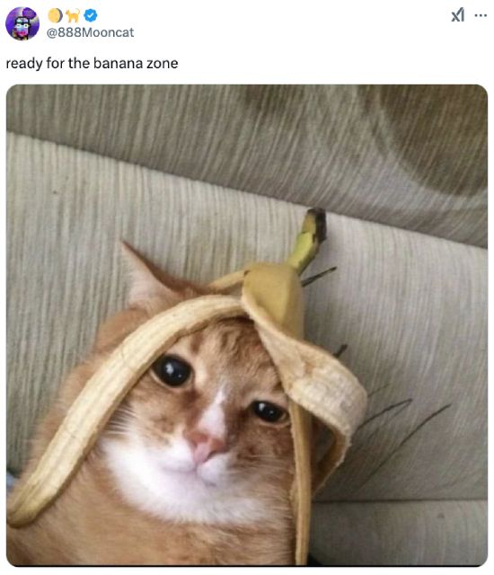 Ready for the Banana Zone