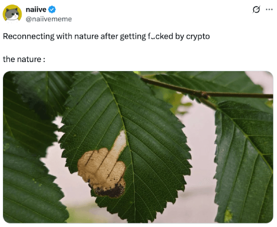 Reconnecting with nature