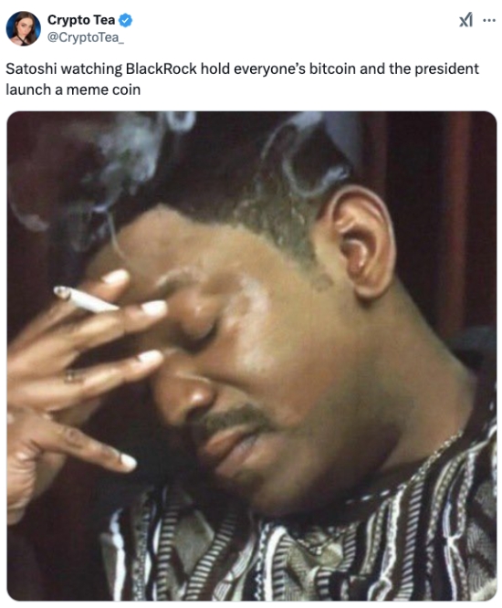 Satoshi sad about BlackRock BTC holdings and TRUMP memecoin