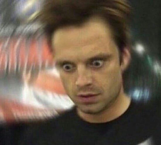 Sebastian Stan panic