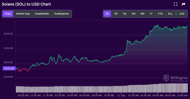 Solana price chart from BitDegree, 09-12