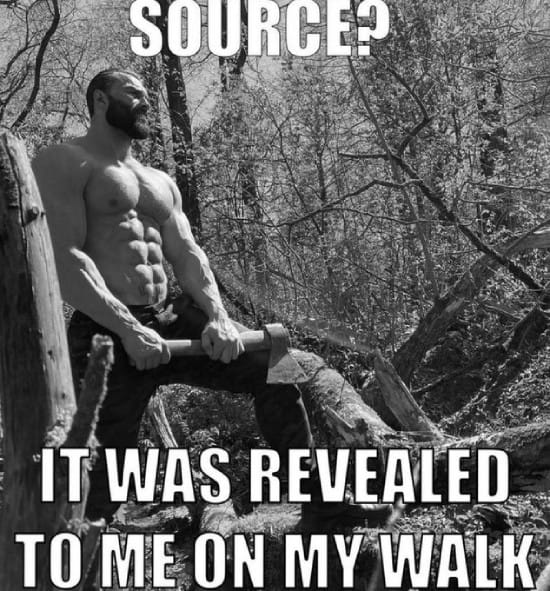 Source? It was revealed to me on my walk