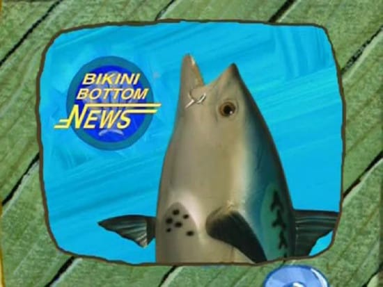 Spongebob Bikini Dotm News Reporter