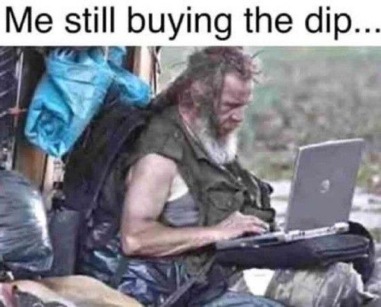 Still buying the dip