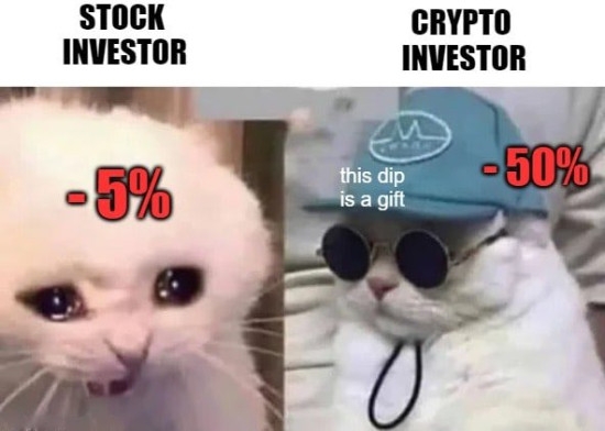 Stock investor vs. Crypto investor