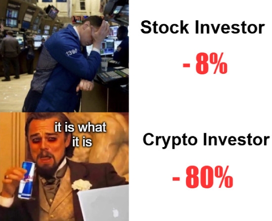 Stock vs crypto investor