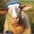 Sheep Wif Hat (SWIF) memecoin logo