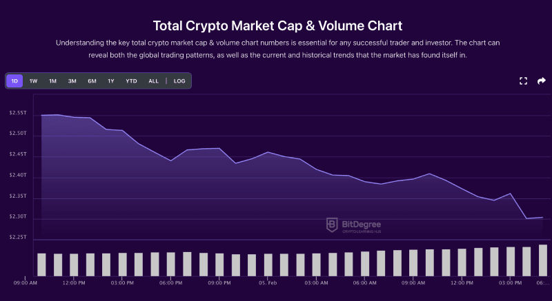 Total crypto market cap chart from BitDegree, 02-05