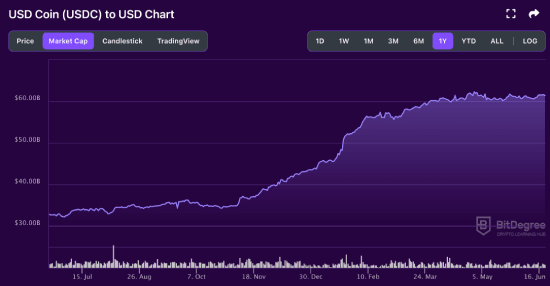 USDC market cap 06-19