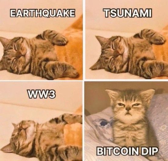 Waking up when Bitcoin dips