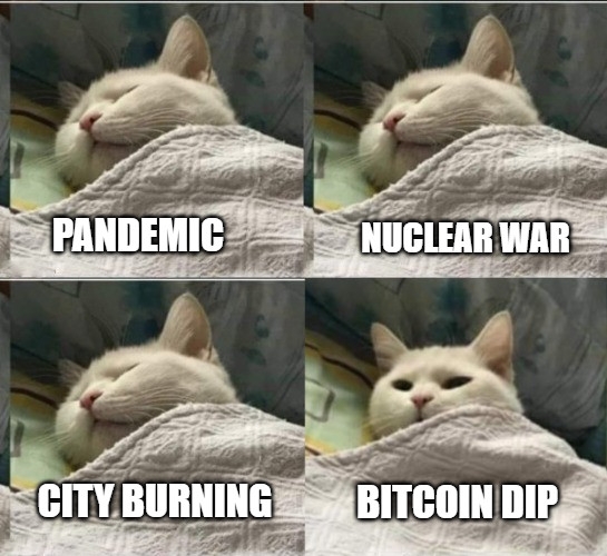 Waking up when Bitcoin dips