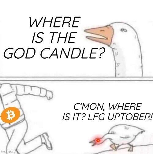 Where Is The BTC Candle