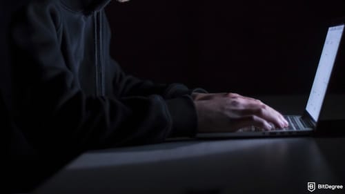 $2.4 Million Vanishes from Bunni DEX in Targeted Liquidity Exploit