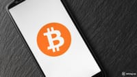 35 Companies Now Hold Over 1,000 BTC Each, Totaling $116 Billion in Bitcoin