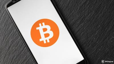 35 Companies Now Hold Over 1,000 BTC Each, Totaling $116 Billion in Bitcoin