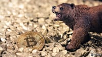 $740M liquidated… is the bleeding over?