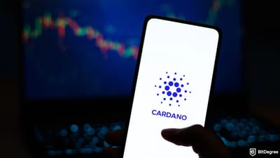 AI-Coded Transaction Causes Cardano Chain Split, Homer J Admits Fault
