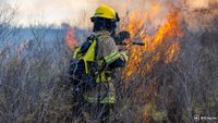 ALERT California: AI Takes the Frontline in Battling California's Wildfires