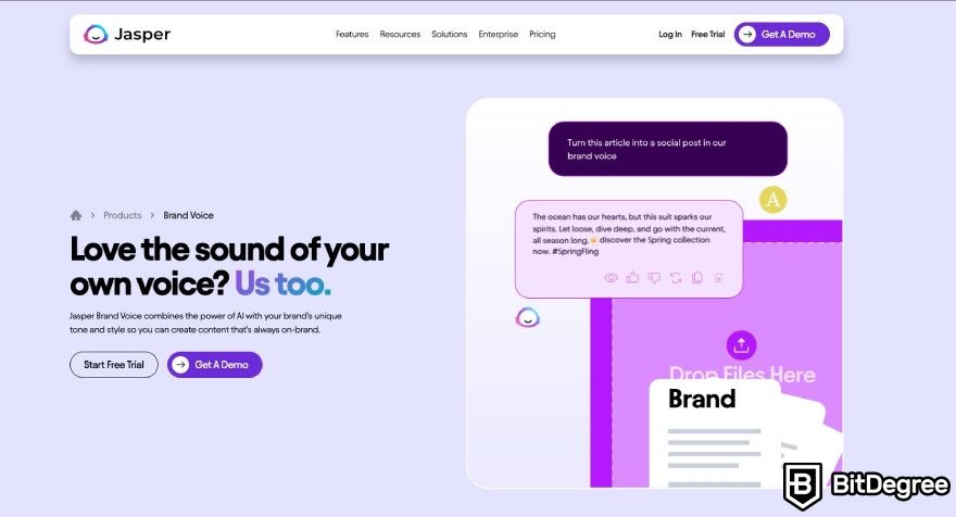 Anyword review: Jasper's brand voice feature webpage.