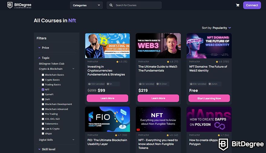 Are NFTs dead: NFT courses on BitDegree's website.