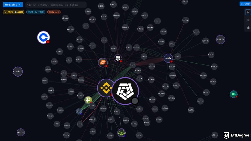Arkham exchange review: a visualized web of wallet connections and token transfers.