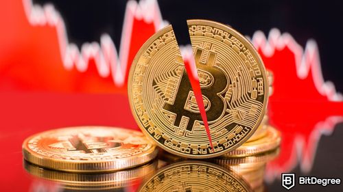 Arthur Hayes Predicts Bitcoin Downturn Around Halving Event