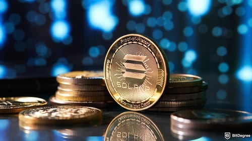As Institutions Buy Into Solana, Solaxy Becomes the Presale Everyone’s Watching
