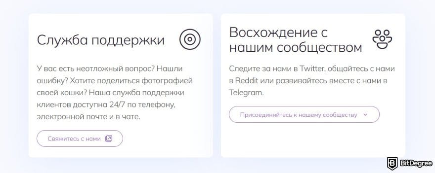 AscendEX отзывы: служба поддержки.