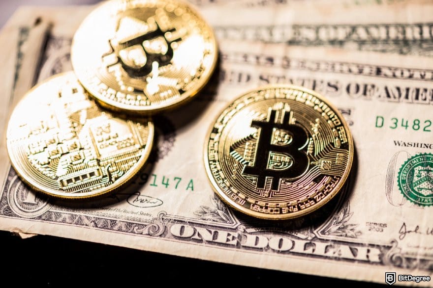 Atomic Wallet review: BTC coins and $100 bills.