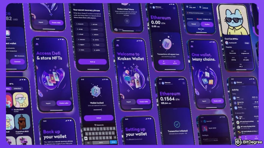 Best altcoin wallets: Kraken Wallet website.