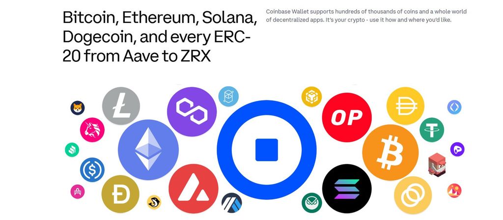 Best Arbitrum wallet: available networks on Coinbase Wallet.