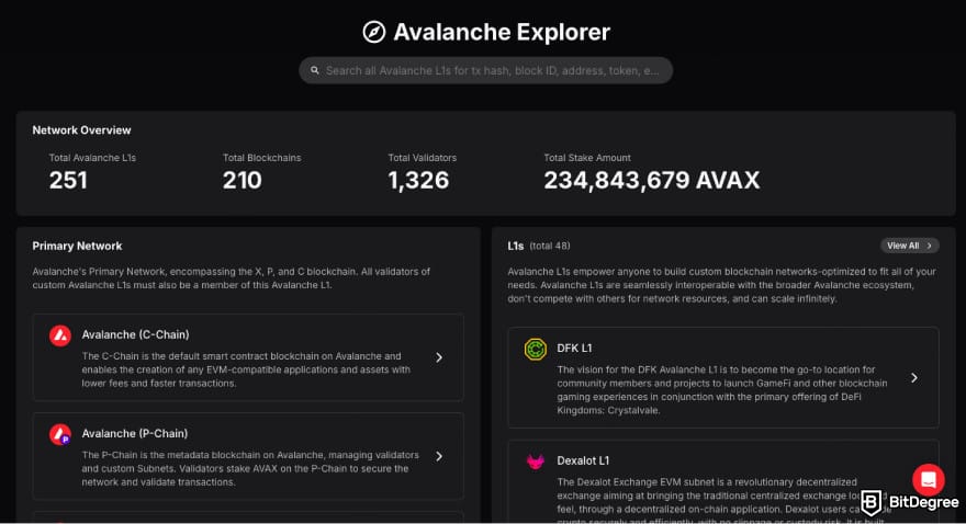 Best AVAX wallet: a screenshot of Avalanche ecosystem.