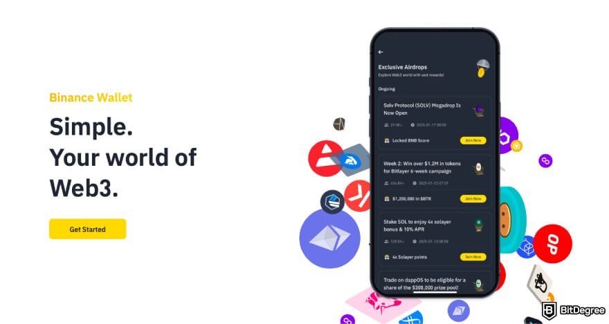 Best AVAX wallet: a screenshot of Binance Wallet homepage.