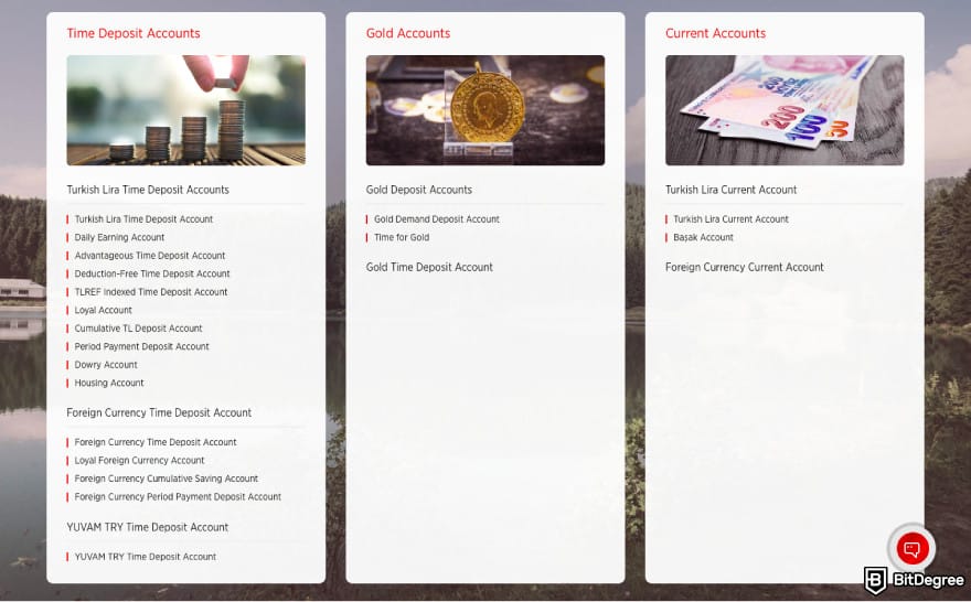 Best bank in Turkey: a screenshot of Ziraat Bank's accounts.