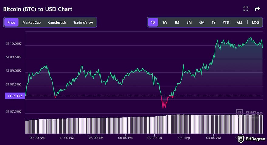 Best Bitcoin wallet: BTC to USD chart on BitDegree crypto tracker.