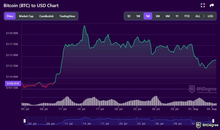 Ví Bitcoin tốt nhất: Biểu đồ BTC so với USD trên công cụ theo dõi crypto của BitDegree.