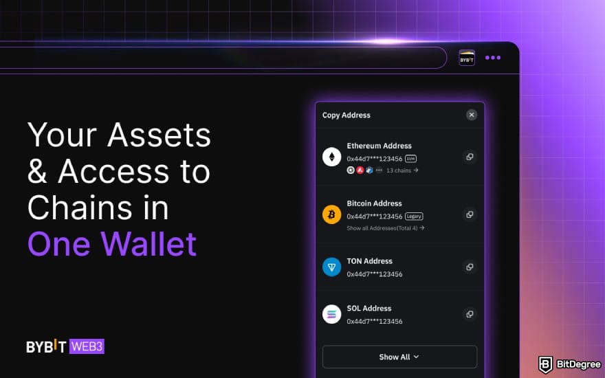 Best Bitcoin wallet for iPhone: Bybit Wallet's chain access.