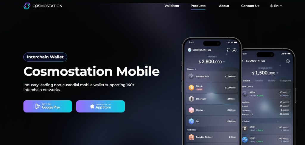 Best Cosmos wallet: the Cosmostation mobile app.