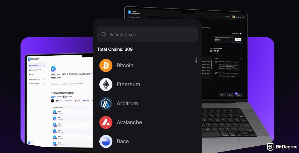 Best Cosmos wallet: a list of chains on Keplr.