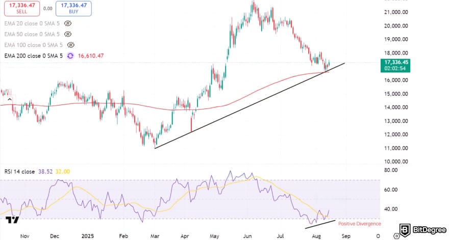 Best crypto indicators: positive divergence spotted with the RSI indicator on TradingView.