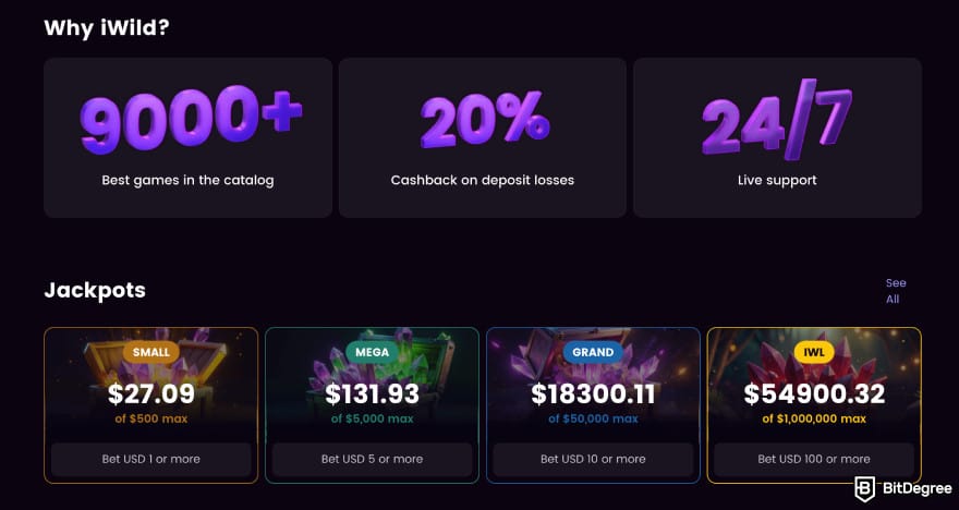 Best crypto live casino: why iWild?