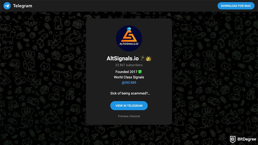 Best crypto Telegram groups: AltSignals.