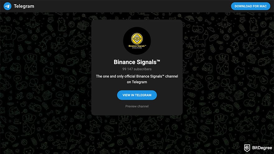 Best crypto Telegram groups: a preview of Binance Signals Telegram group invitation link.