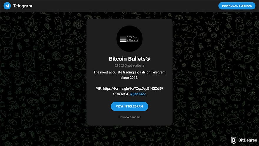 Best crypto Telegram groups: a preview of Bitcoin Bullets Telegram group invitation page.