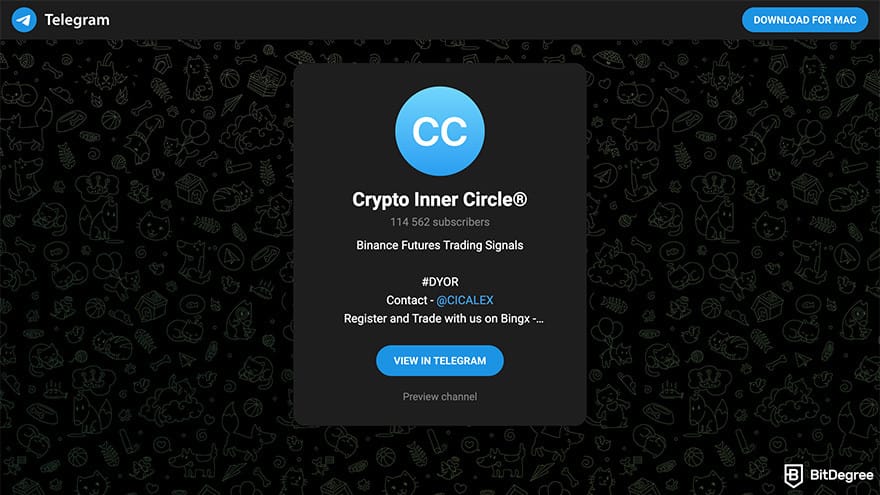 Best crypto Telegram groups: a preview of Crypto Inner Circle Telegram group invite page.