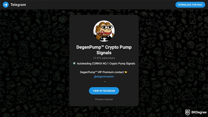Best crypto Telegram group: DegenPump.