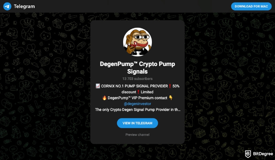 Best crypto Telegram group: DegenPump.