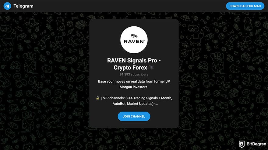 Best crypto Telegram groups: a preview of RAVEN Signals Pro telegram.