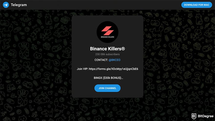 Best crypto Telegram groups: a preview Binance Killers Telegram invitation page.