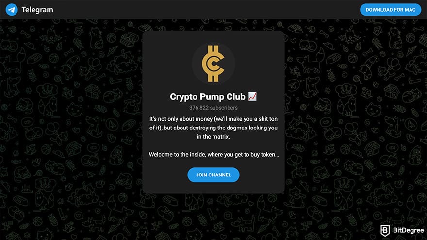 Best crypto Telgram groups: a preview of Crypto Pump Club Telegram invitation page.